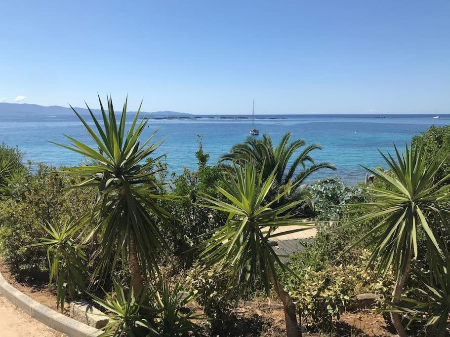 אז'אקסיו F2 Vue Mer Dans Residence Avec Piscine מראה חיצוני תמונה